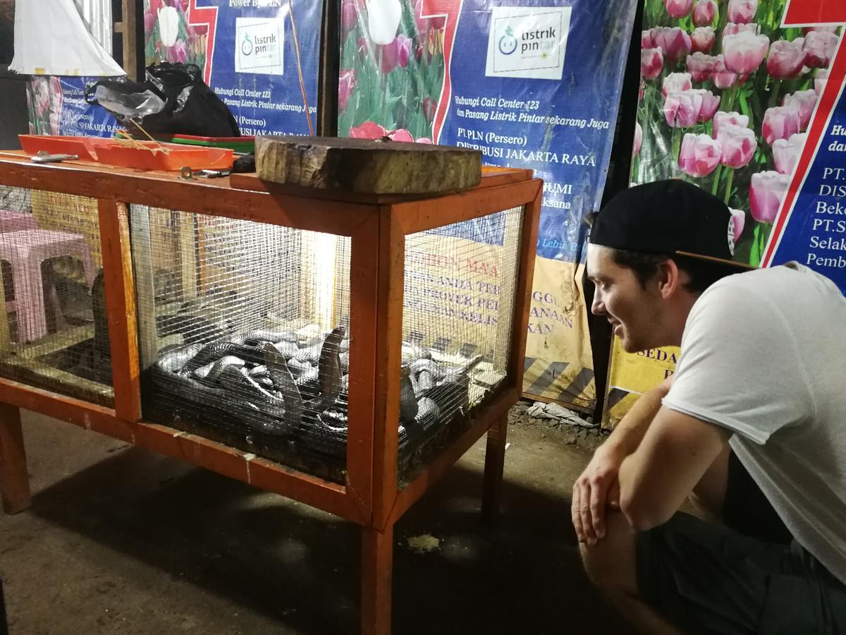 Sleepy Raccoon Hostel Jakarta Eksteriør bilde